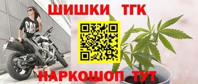 хмурый Кингисепп