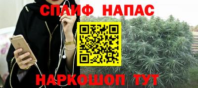 дживик Кимры