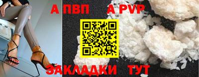 хмурый Кингисепп