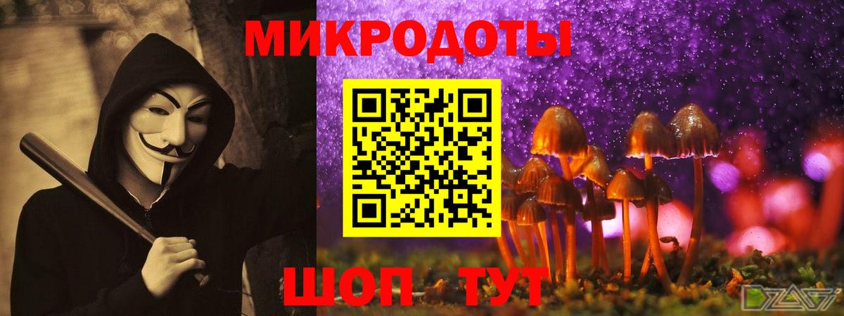 Конаково  Галлюциногенные грибы прущие грибы  Псилоцибиновые грибы GOLDEN TEACHER  Вход с VPN 