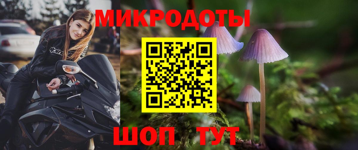 Галлюциногенные грибы мухоморы Конаково